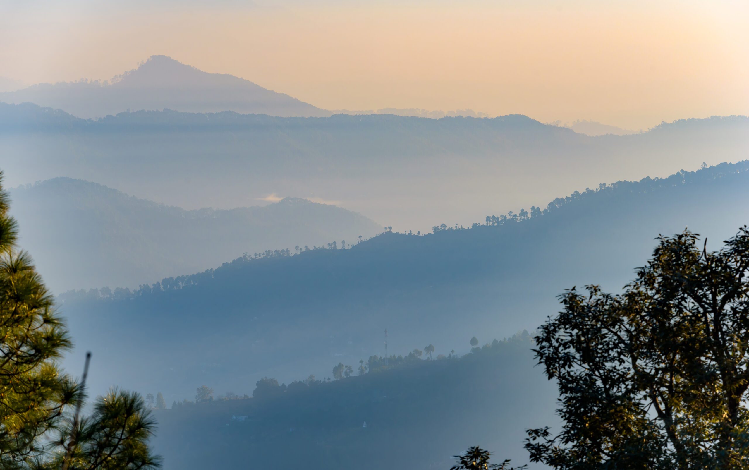 Green trees and mountains